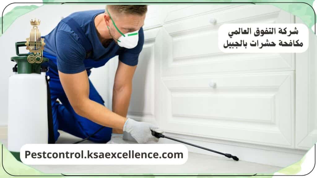 شركة مكافحة حشرات بالجبيل