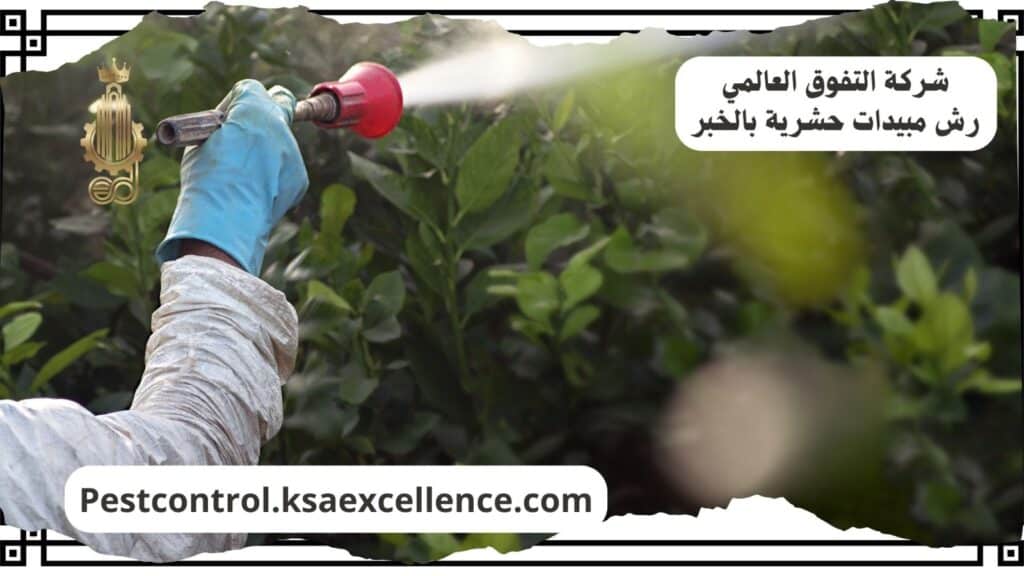شركة رش مبيدات بالخبر