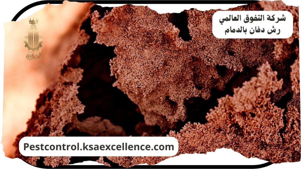 شركة رش دفان بالدمام