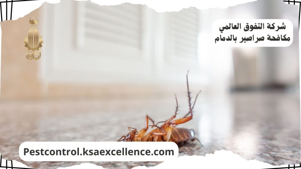 شركة مكافحة الصراصير بالدمام