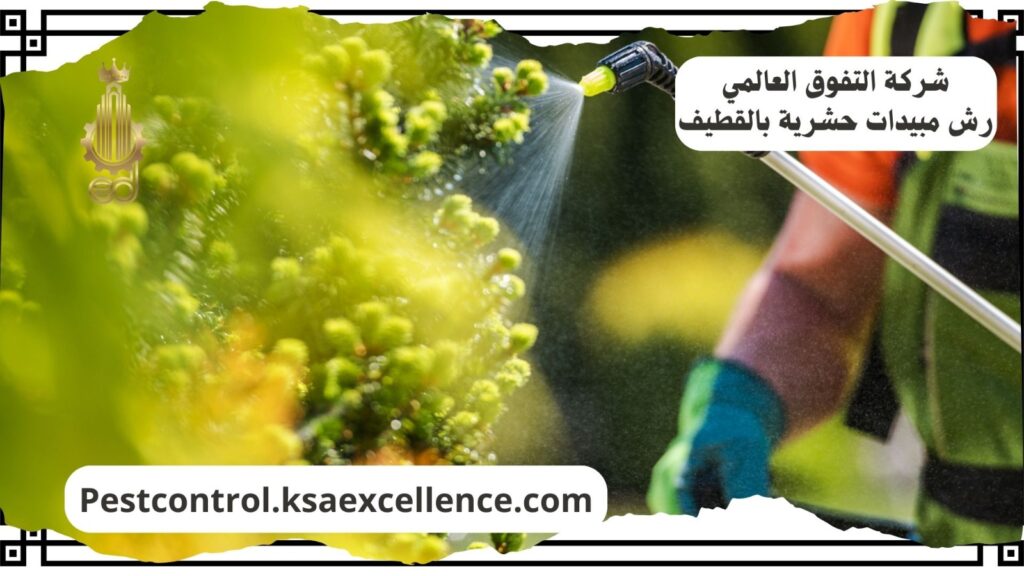 شركة رش مبيدات بالقطيف