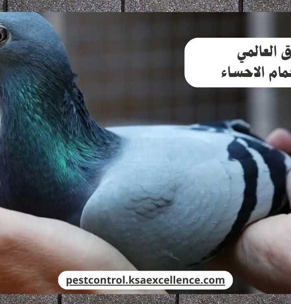 تركيب طارد حمام الاحساء