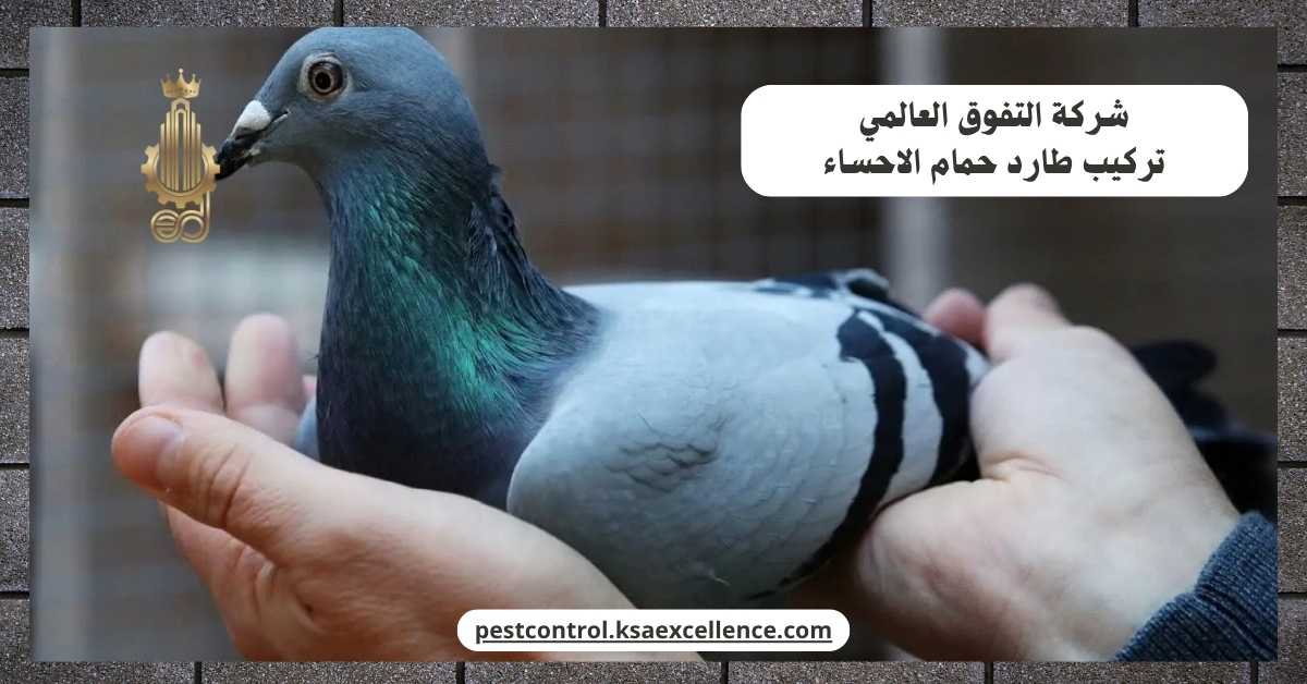 تركيب طارد حمام الاحساء