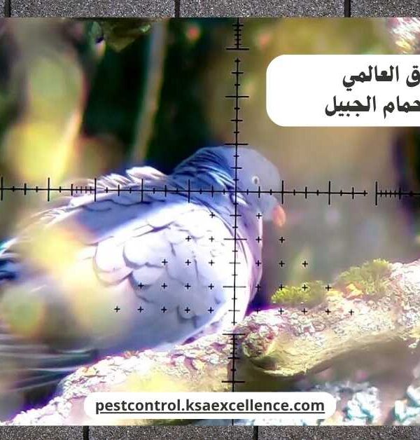 تركيب طارد حمام الجبيل