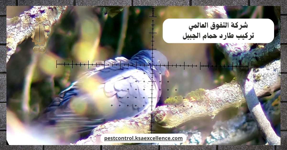 تركيب طارد حمام الجبيل