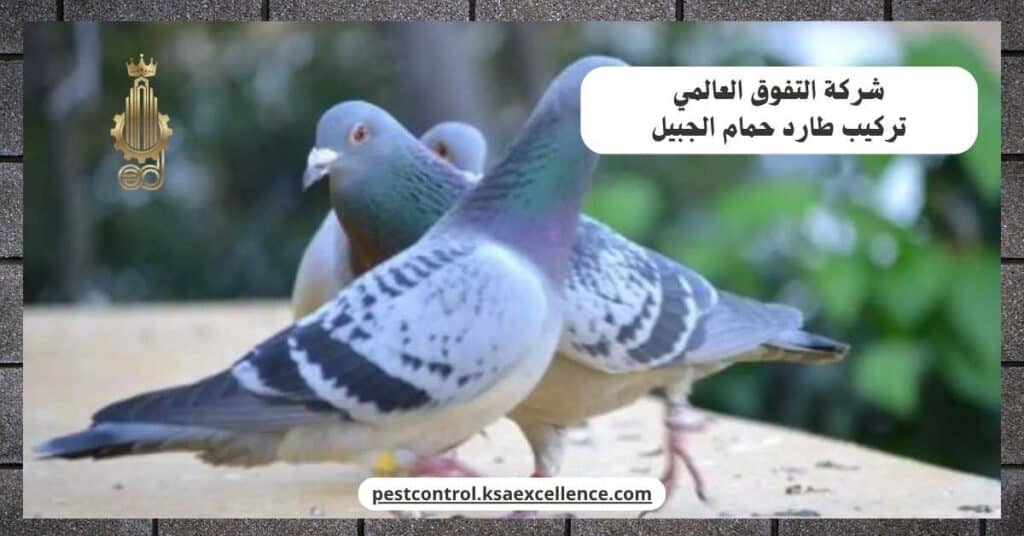 تركيب طارد حمام بالجبيل