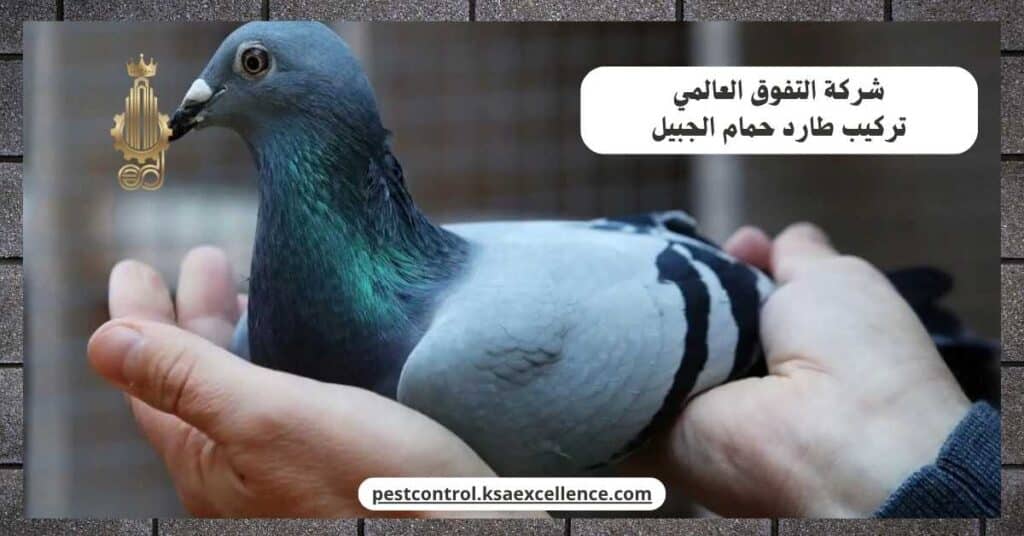 مكافحة الحمام بالجبيل