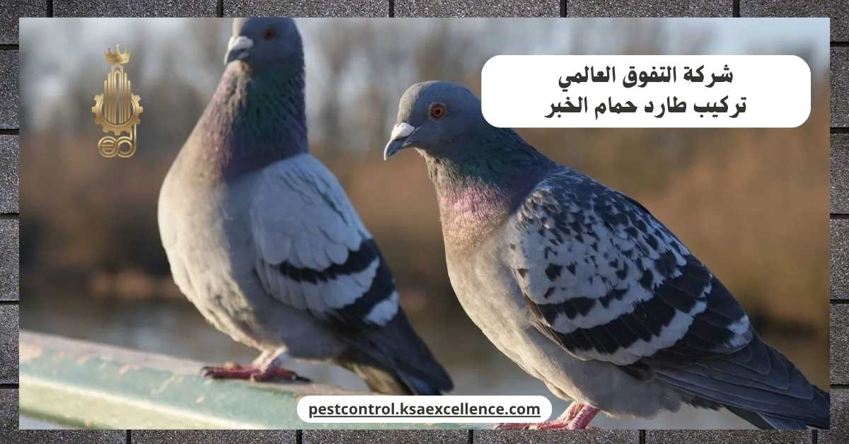 تركيب طارد حمام الخبر