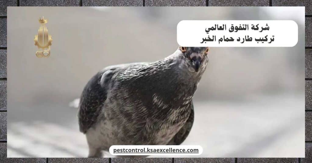 تركيب طارد حمام بالخبر