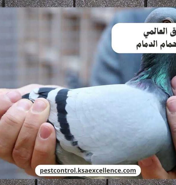تركيب طارد حمام الدمام