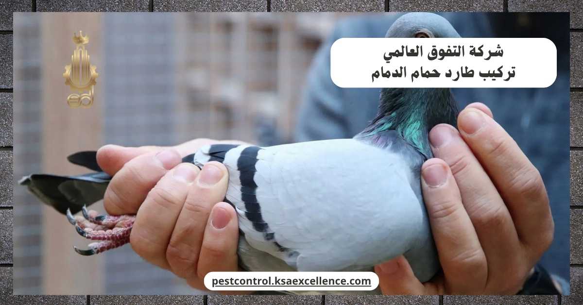 تركيب طارد حمام الدمام