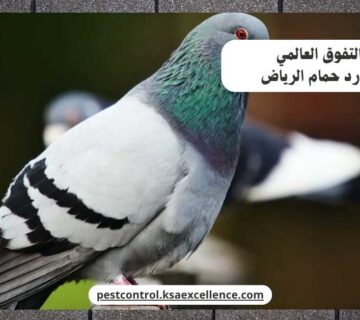 تركيب طارد حمام بالرياض