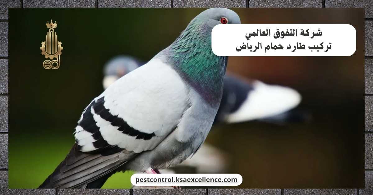 تركيب طارد حمام بالرياض