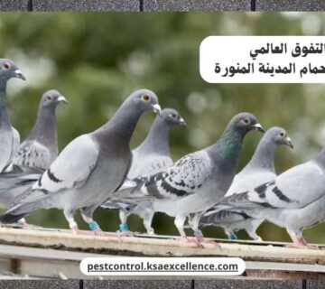 تركيب طارد حمام المدينة المنورة