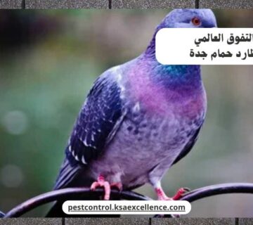 تركيب طارد حمام جدة