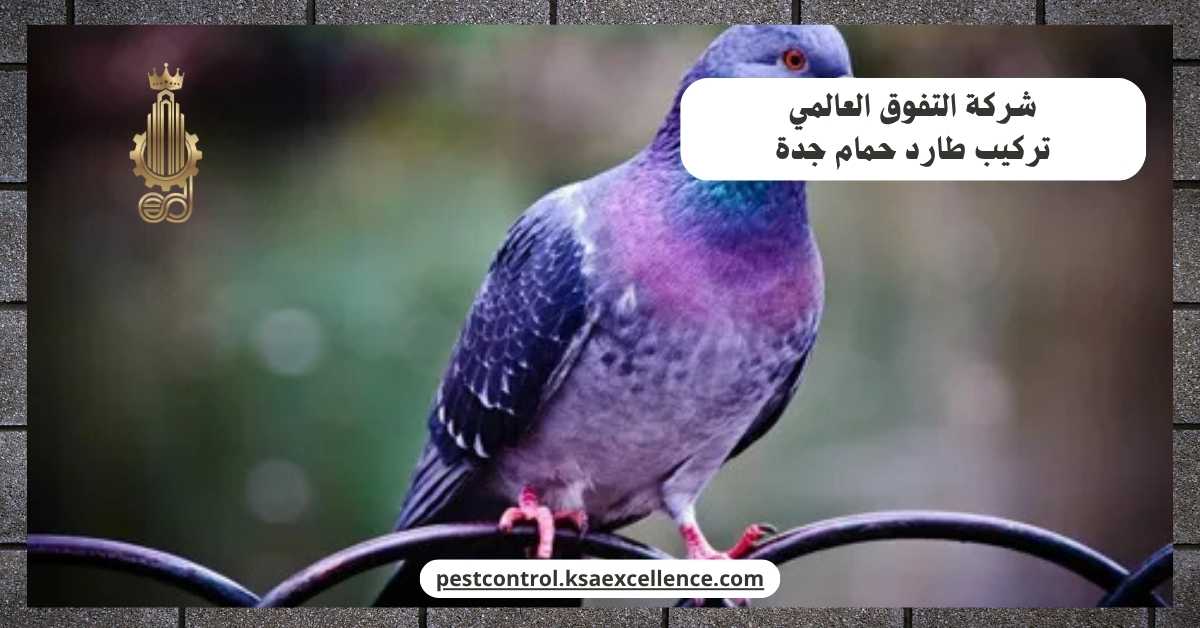 تركيب طارد حمام جدة