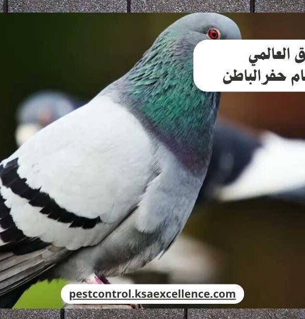 تركيب طارد حمام حفرالباطن