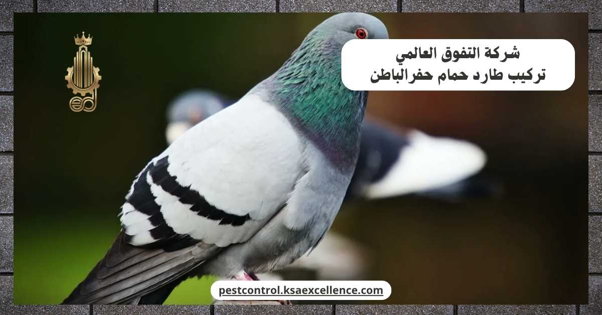 تركيب طارد حمام حفرالباطن