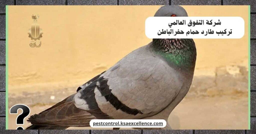تركيب طارد حمام بحفرالباطن