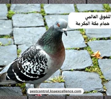 تركيب طارد حمام مكة المكرمة