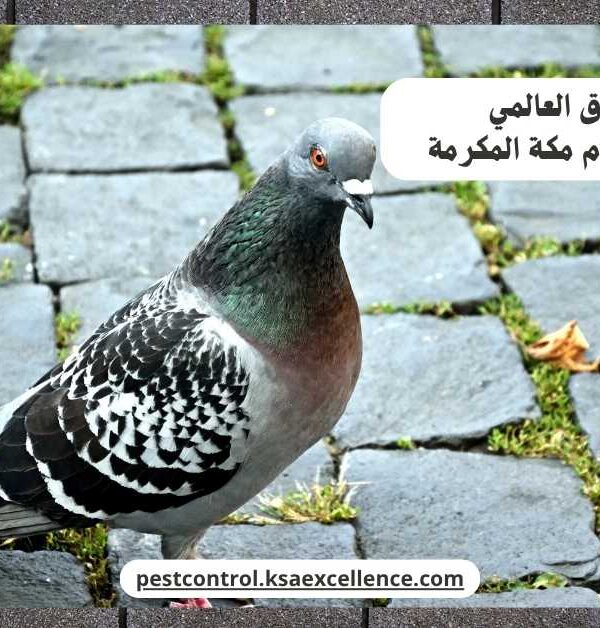 تركيب طارد حمام مكة المكرمة