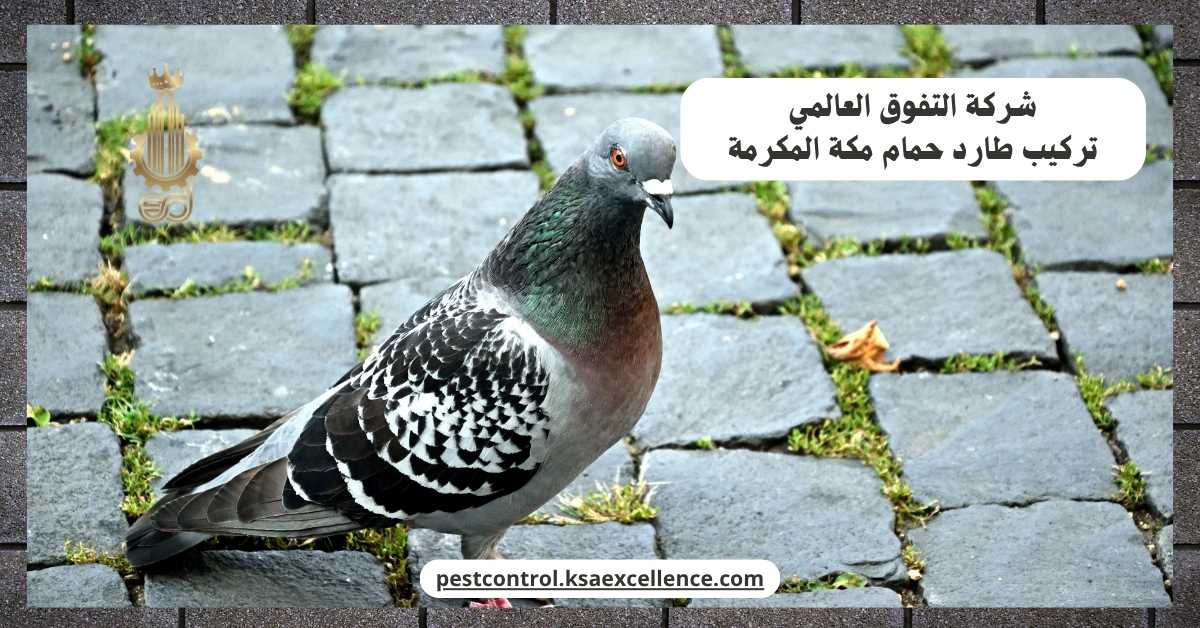 تركيب طارد حمام مكة المكرمة