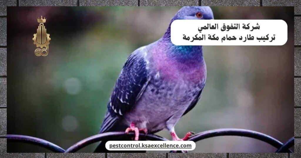 مكاغحة الحمام بمكة المكرمة