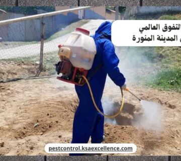 رش دفان المدينة المنورة