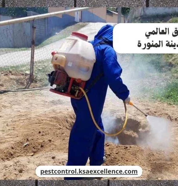 رش دفان المدينة المنورة