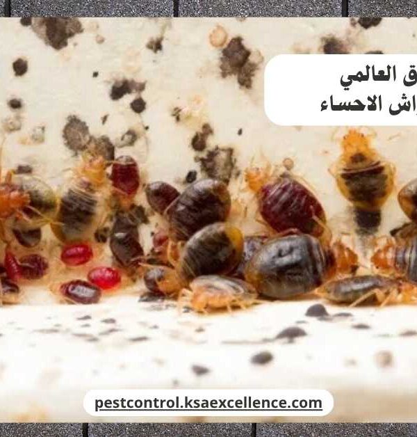 مكافحة بق فراش الاحساء