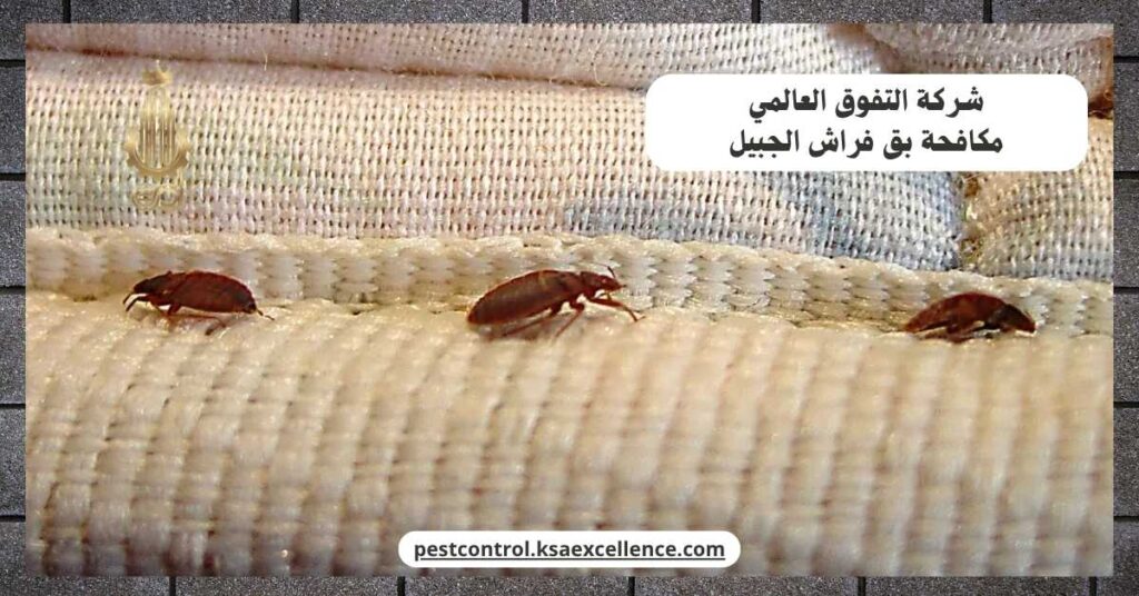 مكافحة بق فراش الجبيل