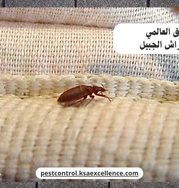 مكافحة بق فراش الجبيل