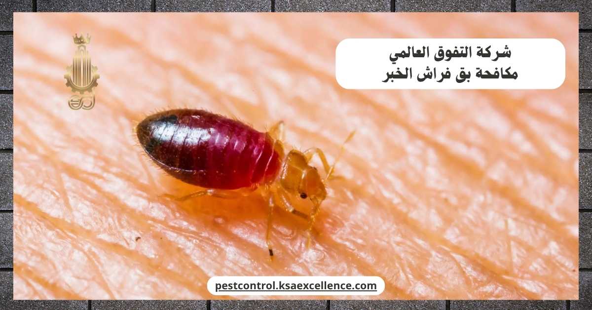 مكافحة بق فراش الخبر
