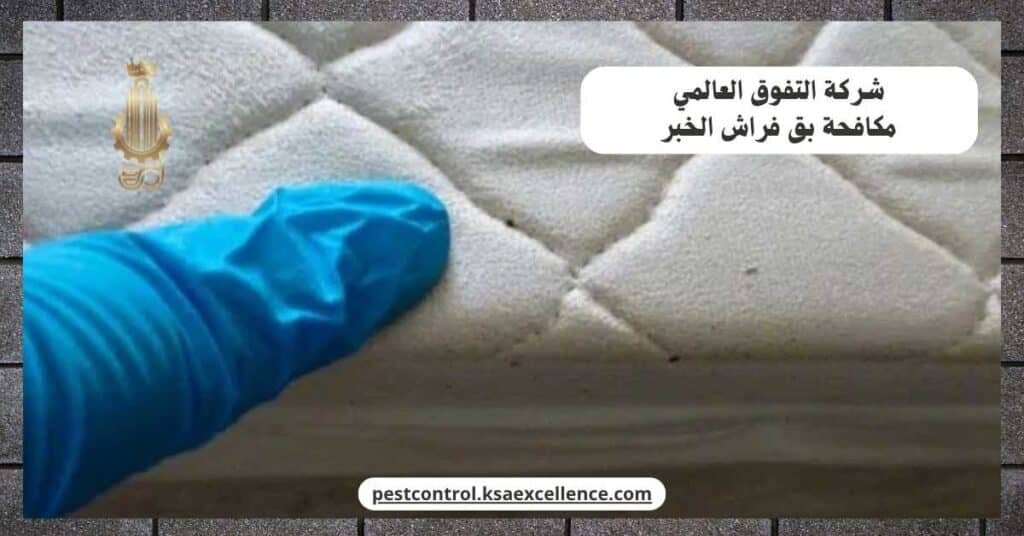 مكافحة بق فراش بالخبر