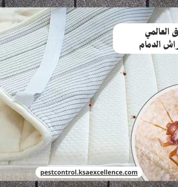 مكافحة بق فراش الدمام