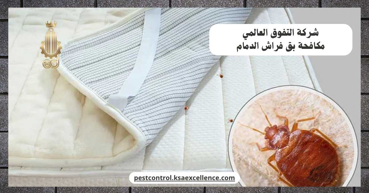 مكافحة بق فراش الدمام