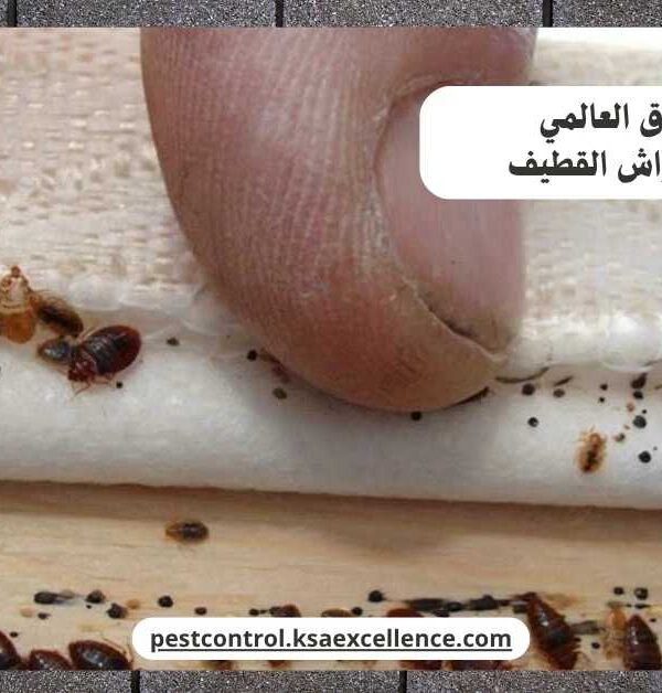 مكافحة بق فراش القطيف