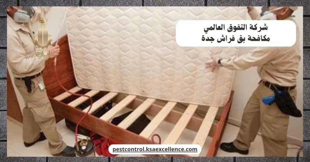 مكافحة بق فراش بجدة