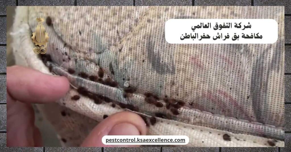 شركة مكافحة بق فراش بحفرالباطن
