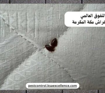 مكافحة بق فراش مكة المكرمة
