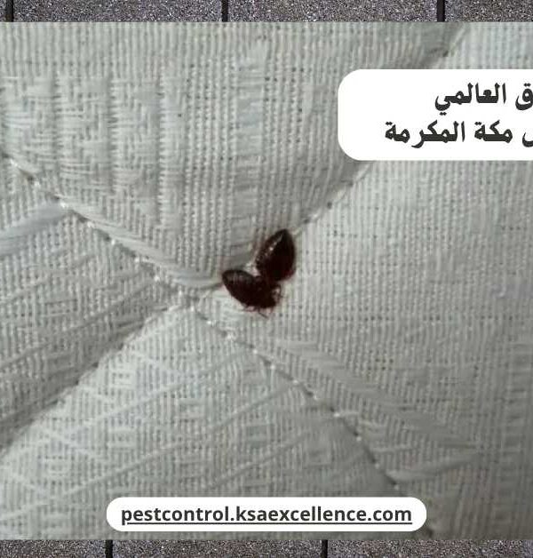 مكافحة بق فراش مكة المكرمة