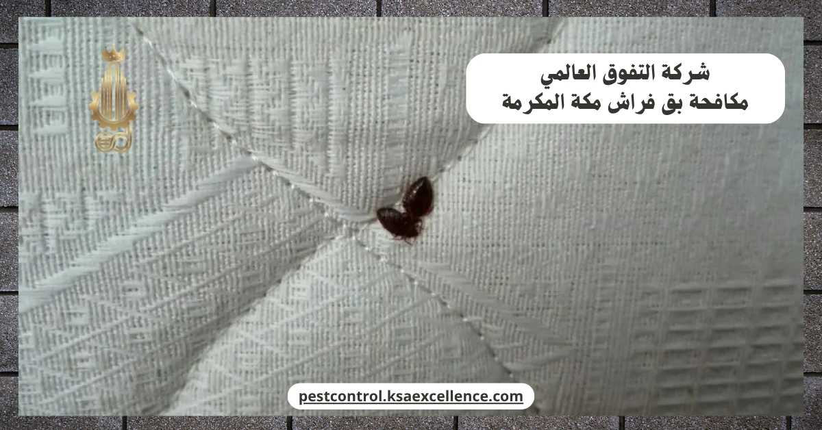 مكافحة بق فراش مكة المكرمة