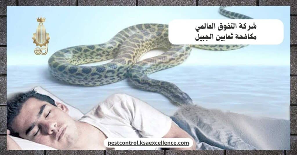 شركة مكافحة ثعابين بالجبيل