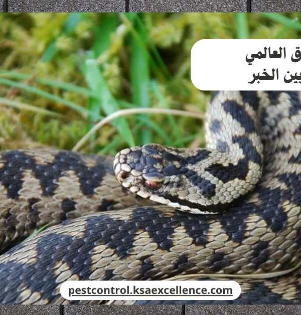 مكافحة ثعابين الخبر