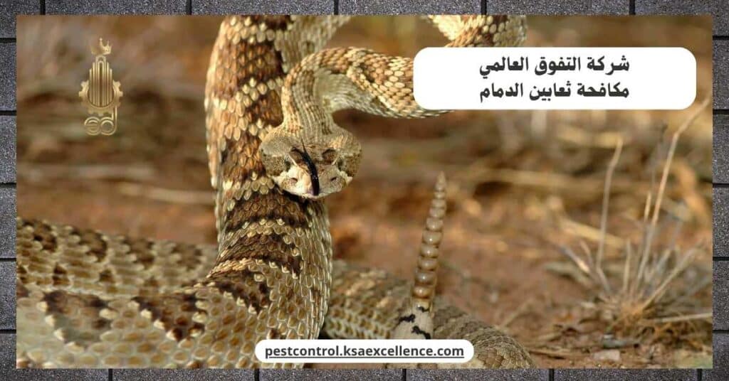 شركة مكافحة ثعابين بالدمام