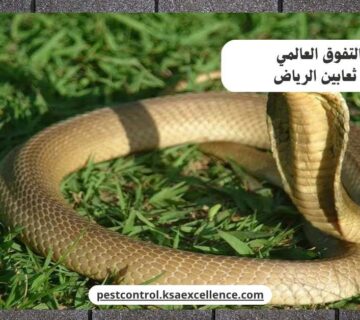 مكافحة ثعابين الرياض