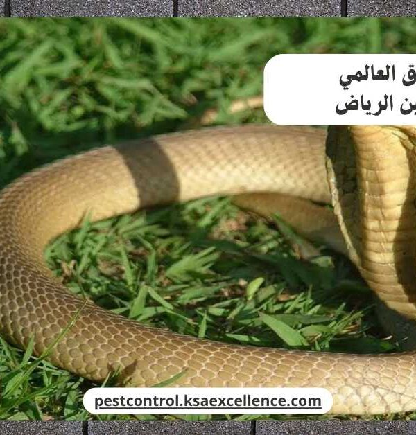 مكافحة ثعابين الرياض