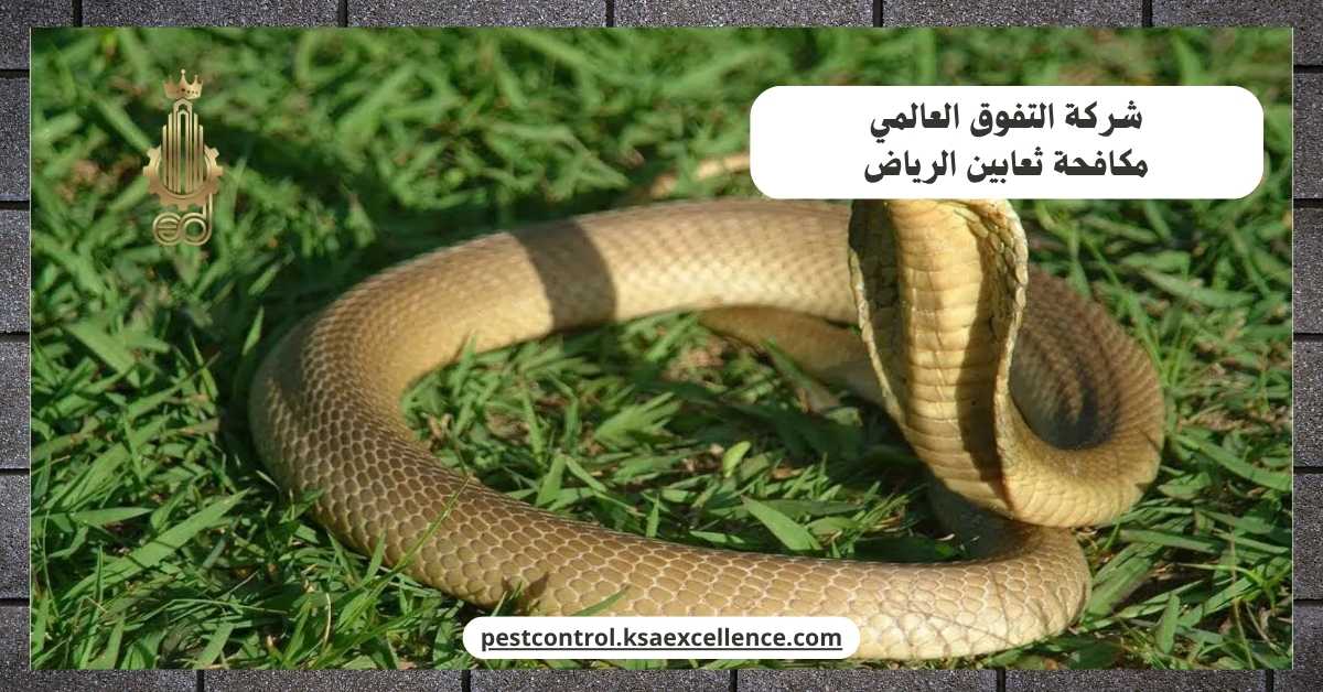 مكافحة ثعابين الرياض