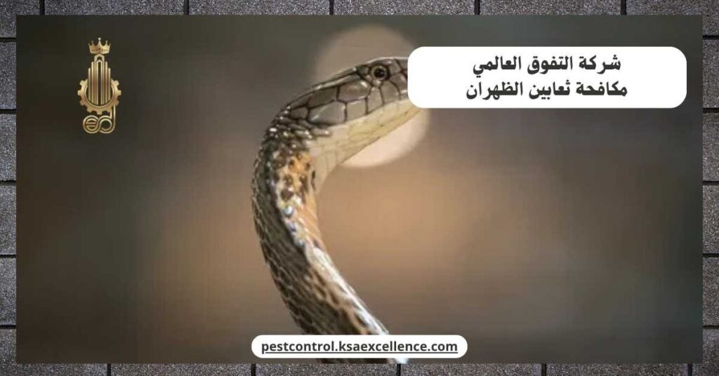 مكافحة ثعابين الظهران
