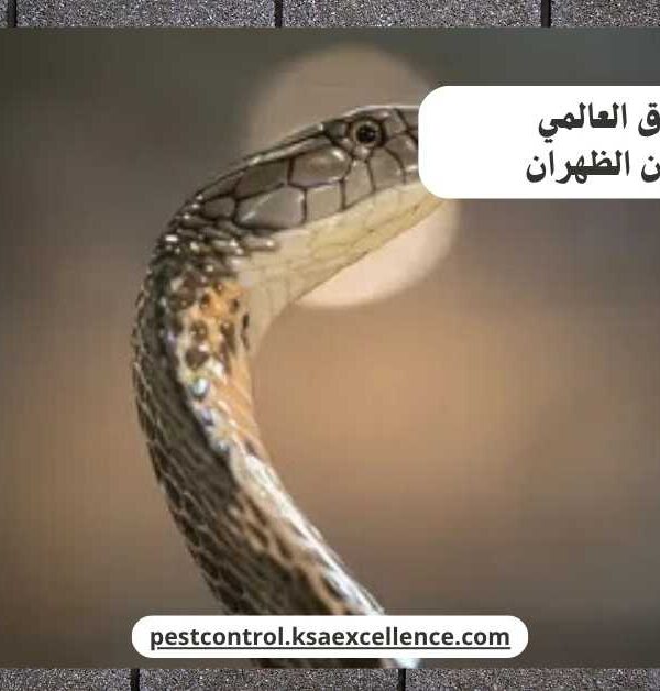 مكافحة ثعابين الظهران